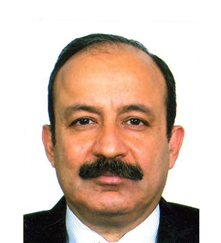 Manu Chadha – Nippon India AIF leadership team